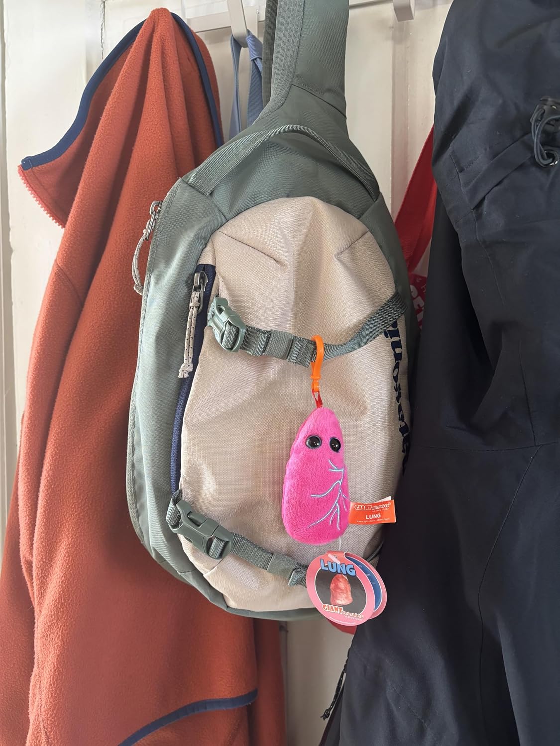 GIANTmicrobes Lung Plush Keychain, Respiratory Therapist Gifts, Pulmonologist Gifts, Respiratory Therapy Gifts, Lung Transplant Survivor Gifts, Lung Cancer Survivor Gifts, Lung Pillow, Bag Charms
